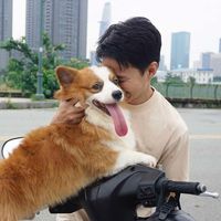 original sound - honhacho