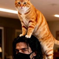 original sound - Silent