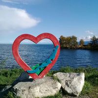 roza_138_sibir