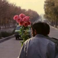 TikTok Account - https://p16-sg.tiktokcdn.com/tos-alisg-avt-0068/30694b5283014964e879e03bb44ebec3~tplv-tiktokx-cropcenter:200:200.jpeg