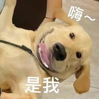 wang_yun_zhen