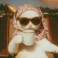 TikTok Account - https://p16-sg.tiktokcdn.com/tos-alisg-avt-0068/31100aab94d3c760dad2026dc8346c28~tplv-tiktokx-cropcenter:200:200.jpeg