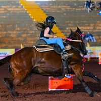 amo.cavalos_mel