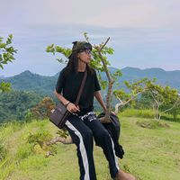 original sound - whynot.riaqt