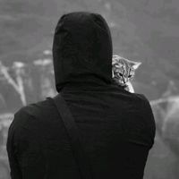 Sound image