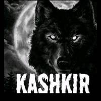 TikTok Account - qashqirr7