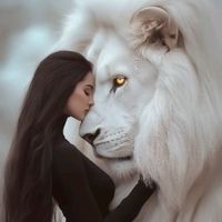 TikTok Account - https://p16-sg.tiktokcdn.com/tos-alisg-avt-0068/34f4d48753c1183a11edb44361f8ece4~tplv-tiktokx-cropcenter:200:200.jpeg