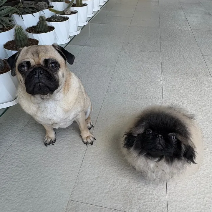 tobey_timothy