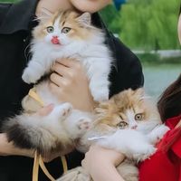 smiley_yiweifan