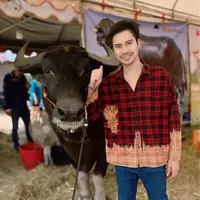 buffaloves