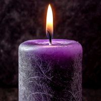 TikTok Account - https://p16-sg.tiktokcdn.com/tos-alisg-avt-0068/37c1dd4ac77e446ead429e5ab6f72d96~tplv-tiktokx-cropcenter:200:200.jpeg