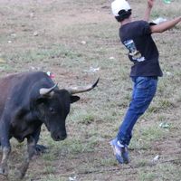 cristianmartinez200607