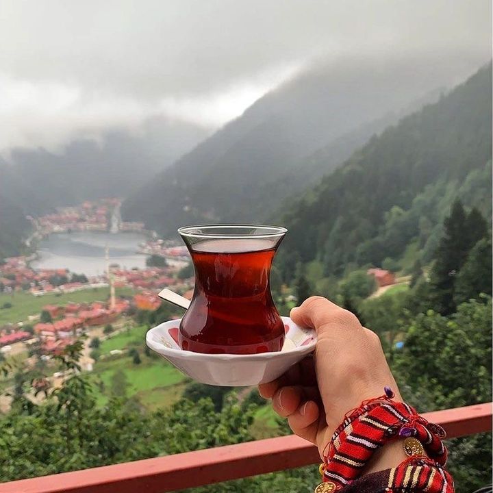 trabzonluuuu_61