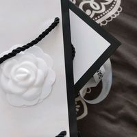 anr_233