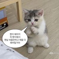 TikTok Account - https://p16-sg.tiktokcdn.com/tos-alisg-avt-0068/397c3d0db142931856d7540c0716bf3a~tplv-tiktokx-cropcenter:200:200.jpeg