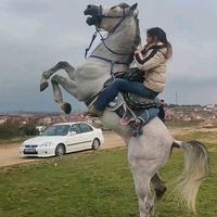 neslihangkhn64