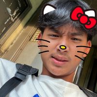 pluem_p08
