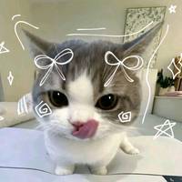 TikTok Account - https://p16-sg.tiktokcdn.com/tos-alisg-avt-0068/3b5ae7806b6cea54be9b63e46a4dce0f~tplv-tiktokx-cropcenter-q:200:200:q70.jpg