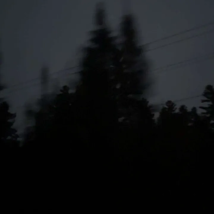 st0p.stalking.m3_
