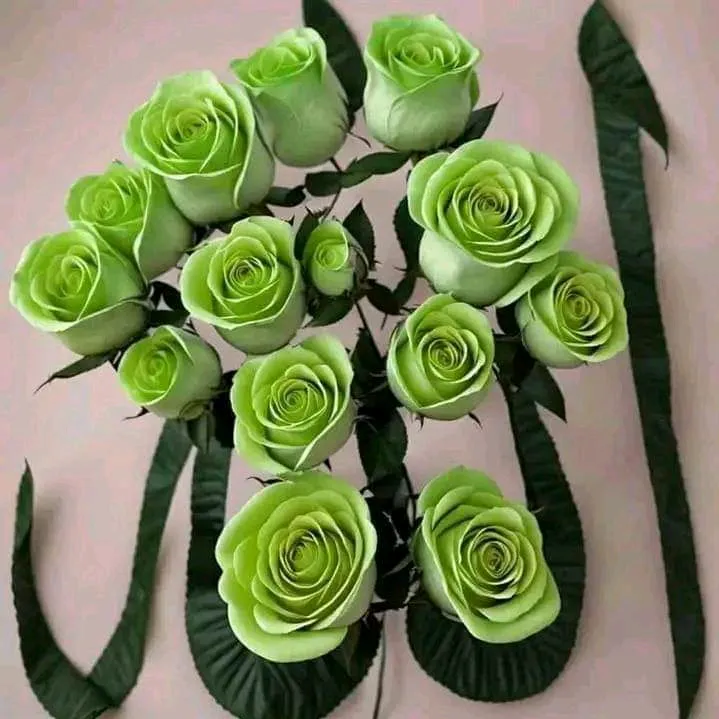 siyemahmed803