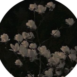 . - orijinal ses