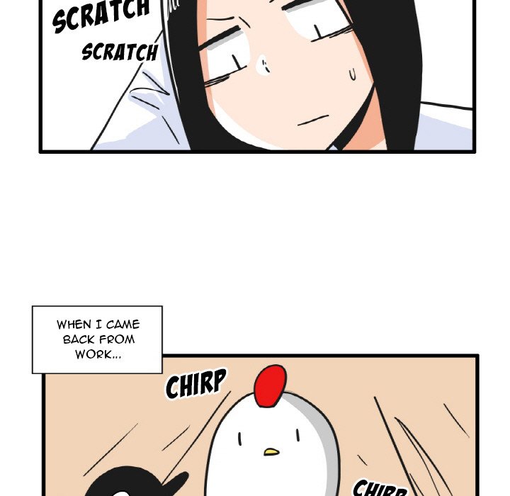 The Amazing Siblings - episode 22 - 26