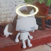 TikTok Account Photo