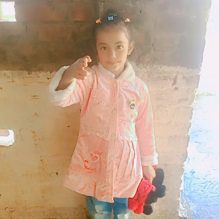 zahidjutt3077