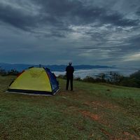 travel___paala