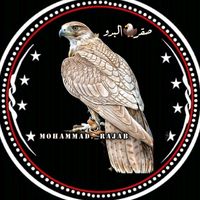 وليتي في بالي ذكرا