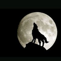 TikTok Account - https://p16-sg.tiktokcdn.com/tos-alisg-avt-0068/3da93c6fffd2f42064e47bebcb30fc03~tplv-tiktokx-cropcenter:200:200.jpeg