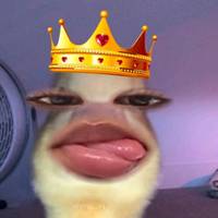 TikTok Account Photo