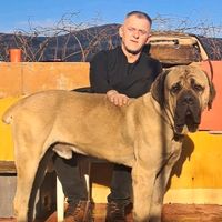 TikTok Account - https://p16-sg.tiktokcdn.com/tos-alisg-avt-0068/3e8e57495c05912ca1af49bbf7f86773~tplv-tiktokx-cropcenter:200:200.jpeg