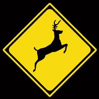 TikTok Account - https://p16-sg.tiktokcdn.com/tos-alisg-avt-0068/40262eddfdbd5c82612e39cf2548878f~tplv-tiktokx-cropcenter:200:200.jpeg