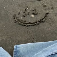 เสียงต้นฉบับ - Island of Ash