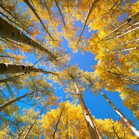 TikTok Account - https://p16-sg.tiktokcdn.com/tos-alisg-avt-0068/40b23efb2e76c5c88760aae460528afd~tplv-tiktokx-cropcenter:200:200.jpeg