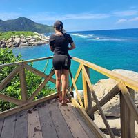 virabermudez