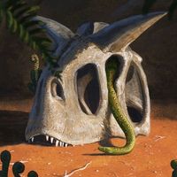santi.dino00