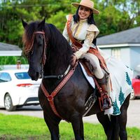 TikTok Account - https://p16-sg.tiktokcdn.com/tos-alisg-avt-0068/44520678792ac283b27981e7a609ba36~tplv-tiktokx-cropcenter:200:200.jpeg