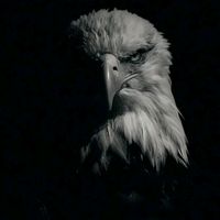 TikTok Account - https://p16-sg.tiktokcdn.com/tos-alisg-avt-0068/449b6ddb5ae8e0263753dbc68805e249~tplv-tiktokx-cropcenter:200:200.jpeg