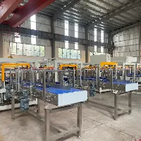 dmraypackmachine