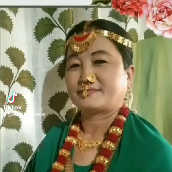 pinchisongsonbo