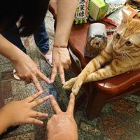 оригинальный звук