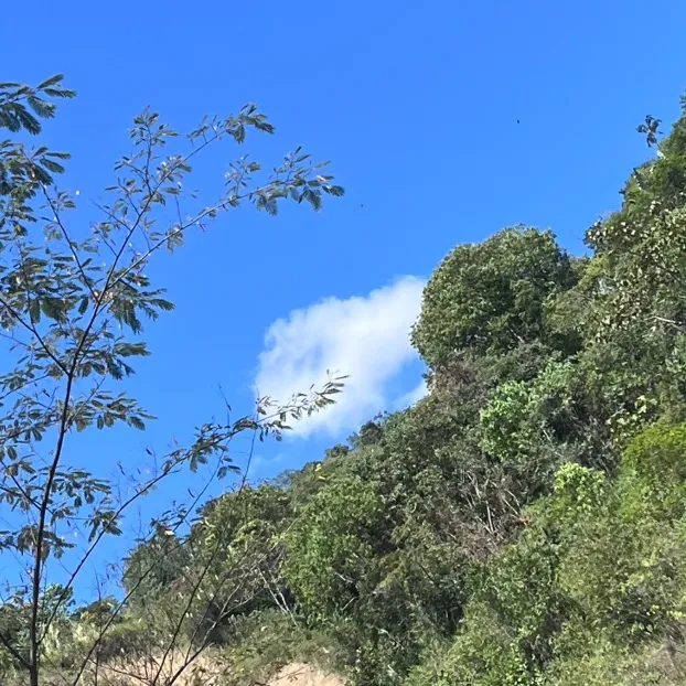 lucianahiguitasepulveda1