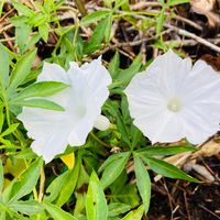 TikTok Account - https://p16-sg.tiktokcdn.com/tos-alisg-avt-0068/484d7b90ab8bc8fb8e23b02f6a18481b~tplv-tiktokx-cropcenter:200:200.jpeg