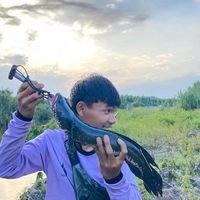 Sound image
