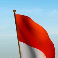 irpan_zen