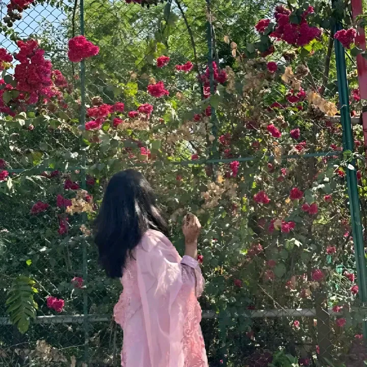 aqsuu_5674