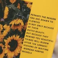 original sound - mal.teeessers