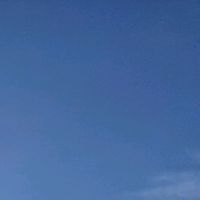 TikTok Account - https://p16-sg.tiktokcdn.com/tos-alisg-avt-0068/4b3ad27e2499c87923ef08bf2cc0bd50~tplv-tiktokx-cropcenter:200:200.jpeg